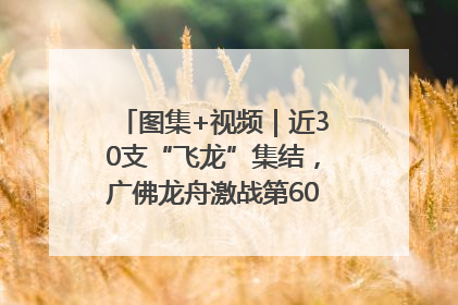 图集+视频｜近30支“飞龙”集结，广佛龙舟激战第60届荔湾“沙溪景”