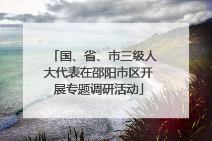 国、省、市三级人大代表在邵阳市区开展专题调研活动