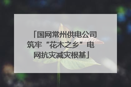 国网常州供电公司筑牢“花木之乡”电网抗灾减灾根基