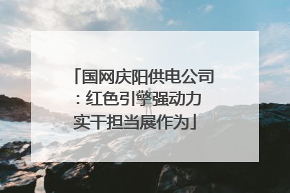 国网庆阳供电公司：红色引擎强动力 实干担当展作为