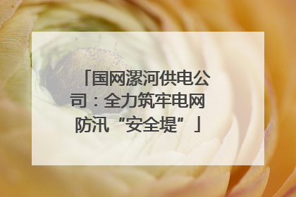 国网漯河供电公司：全力筑牢电网防汛“安全堤”