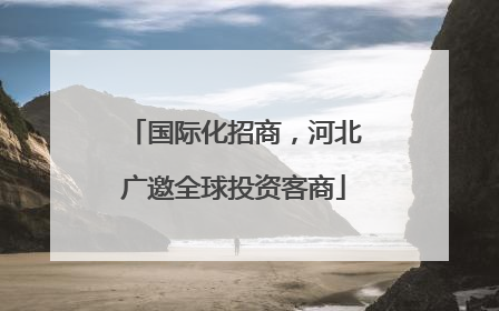 国际化招商，河北广邀全球投资客商