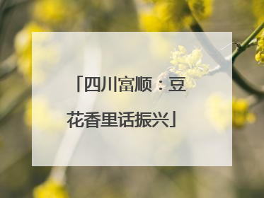 四川富顺：豆花香里话振兴
