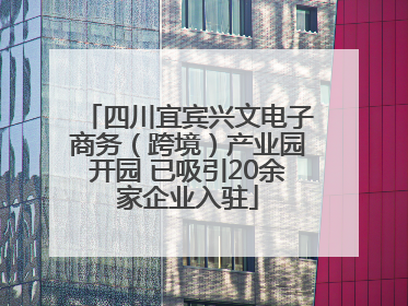 四川宜宾兴文电子商务（跨境）产业园开园 已吸引20余家企业入驻