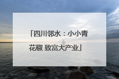四川邻水：小小青花椒 致富大产业