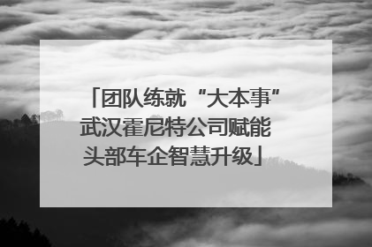 团队练就“大本事” 武汉霍尼特公司赋能头部车企智慧升级
