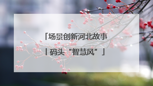 场景创新河北故事丨码头“智慧风”