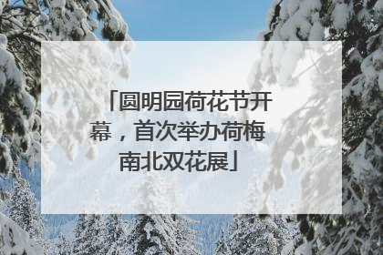 圆明园荷花节开幕，首次举办荷梅南北双花展