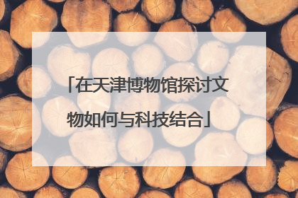 在天津博物馆探讨文物如何与科技结合