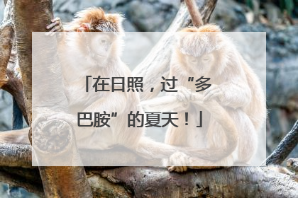 在日照，过“多巴胺”的夏天！