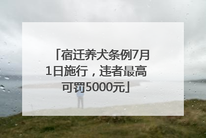 宿迁养犬条例7月1日施行，违者最高可罚5000元