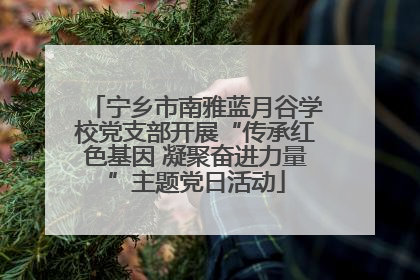 宁乡市南雅蓝月谷学校党支部开展“传承红色基因 凝聚奋进力量”主题党日活动