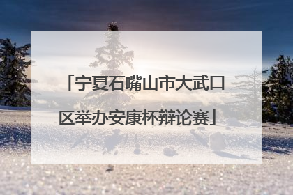 宁夏石嘴山市大武口区举办安康杯辩论赛