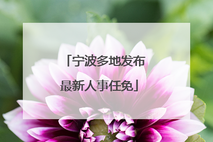 宁波多地发布最新人事任免