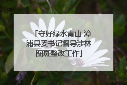 守好绿水青山 漳浦县委书记督导涉林图斑整改工作