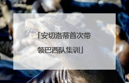 安切洛蒂首次带领巴西队集训