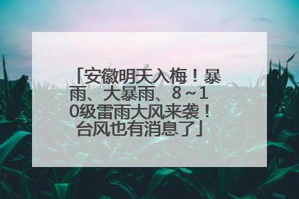 安徽明天入梅！暴雨、大暴雨、8～10级雷雨大风来袭！台风也有消息了