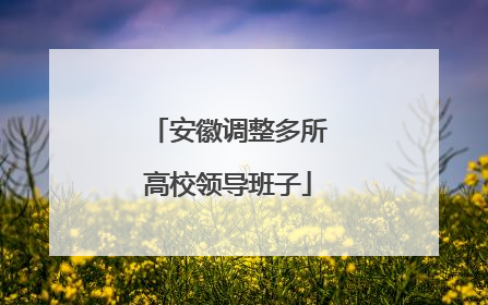 安徽调整多所高校领导班子