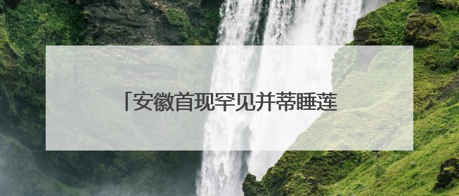 安徽首现罕见并蒂睡莲 概率仅为百万分之一