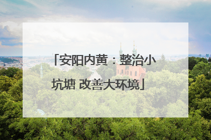 安阳内黄：整治小坑塘 改善大环境
