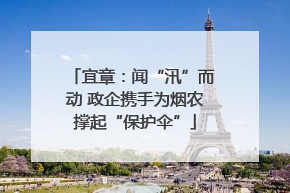 宜章：闻“汛”而动 政企携手为烟农撑起“保护伞”