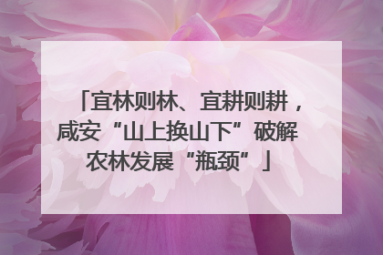 宜林则林、宜耕则耕，咸安“山上换山下”破解农林发展“瓶颈”