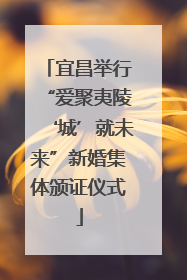 宜昌举行“爱聚夷陵‘城’就未来”新婚集体颁证仪式