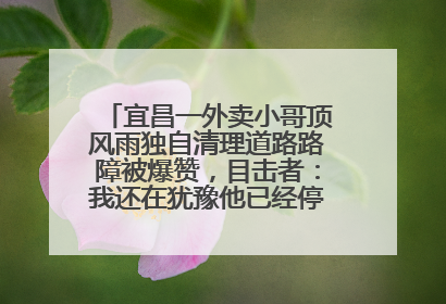 宜昌一外卖小哥顶风雨独自清理道路路障被爆赞，目击者：我还在犹豫他已经停车清障了