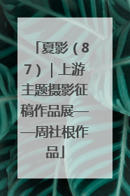 夏影（87）｜上游主题摄影征稿作品展——周社根作品