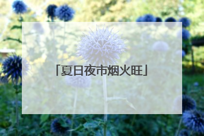 夏日夜市烟火旺