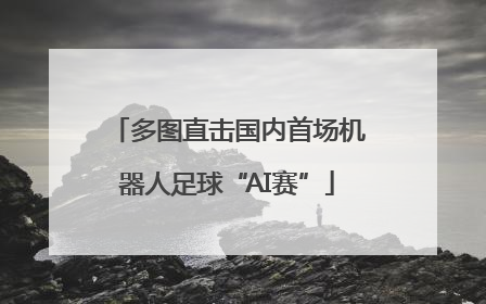 多图直击国内首场机器人足球“AI赛”