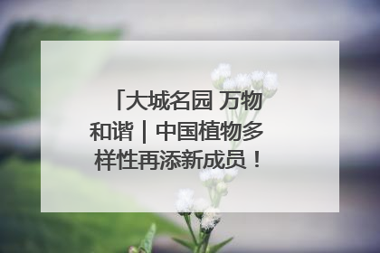 大城名园 万物和谐｜中国植物多样性再添新成员！它只在西藏墨脱