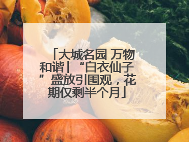 大城名园 万物和谐│“白衣仙子”盛放引围观，花期仅剩半个月