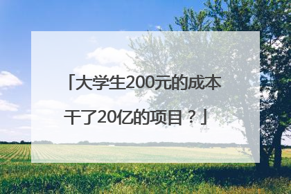 大学生200元的成本干了20亿的项目？