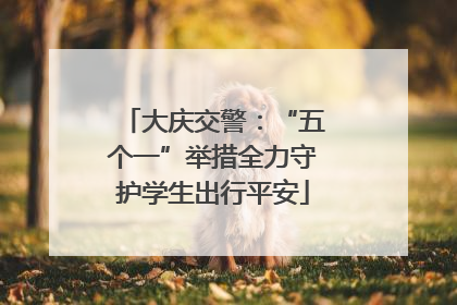 大庆交警：“五个一”举措全力守护学生出行平安