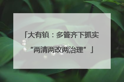 大有镇：多管齐下抓实“两清两改两治理”