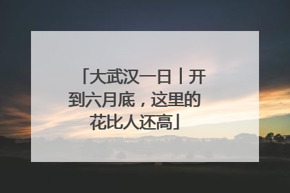 大武汉一日︱开到六月底，这里的花比人还高