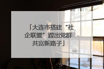 大连市搭建“社企联盟”蹚出党群共富新路子