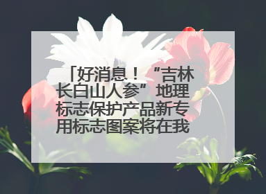 好消息！“吉林长白山人参”地理标志保护产品新专用标志图案将在我省推广使用