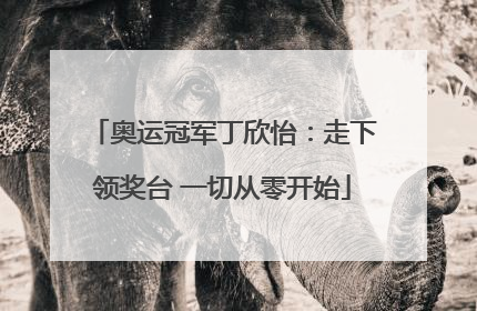 奥运冠军丁欣怡：走下领奖台 一切从零开始