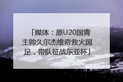 媒体：原U20国青主帅久尔杰维奇救火国足，带队征战东亚杯