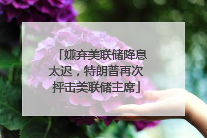 嫌弃美联储降息太迟，特朗普再次抨击美联储主席