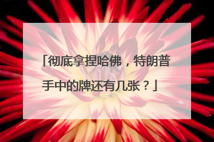彻底拿捏哈佛，特朗普手中的牌还有几张？