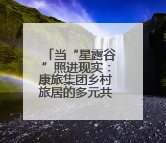 当“星露谷”照进现实：康旅集团乡村旅居的多元共生样本