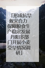 形成抗旱救灾合力 保障粮食生产稳定发展 丹阳多部门开展小麦受旱情况调研