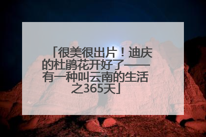 很美很出片！迪庆的杜鹃花开好了——有一种叫云南的生活之365天