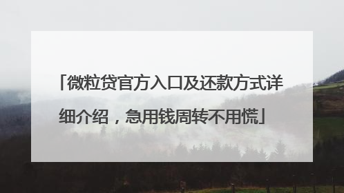 微粒贷官方入口及还款方式详细介绍，急用钱周转不用慌