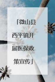 微山县西平镇开展医保政策宣传