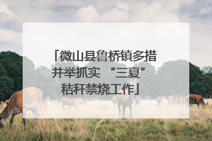 微山县鲁桥镇多措并举抓实 “三夏” 秸秆禁烧工作