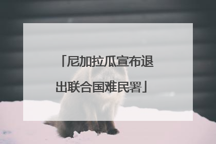 尼加拉瓜宣布退出联合国难民署